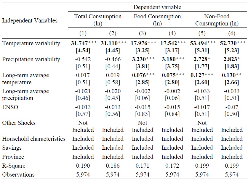 Long-term Impacts on Household Consumption