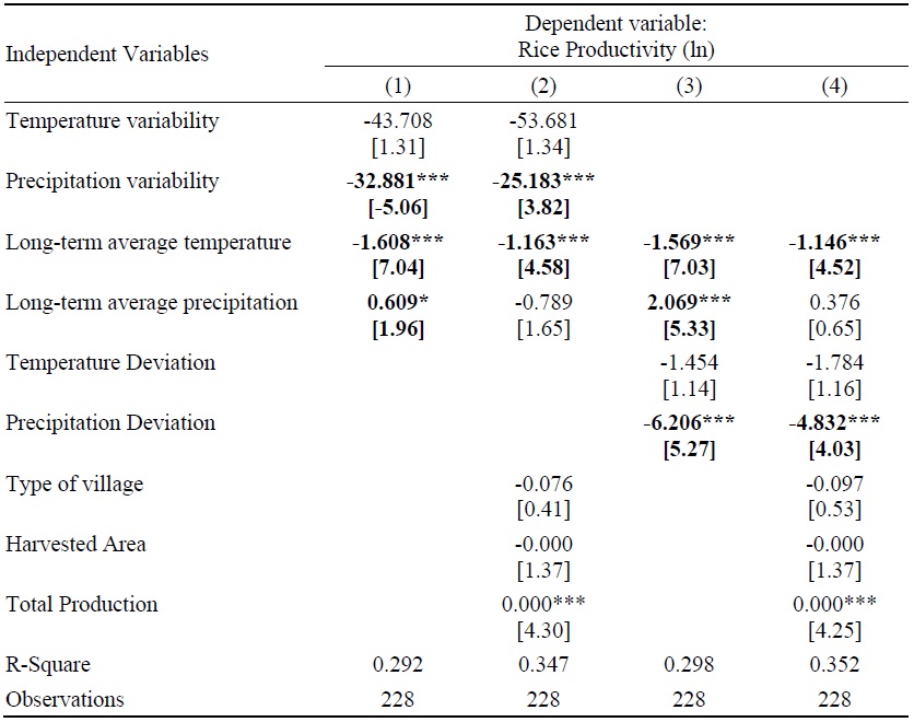 Long-term Impacts on Agricultural Productivity