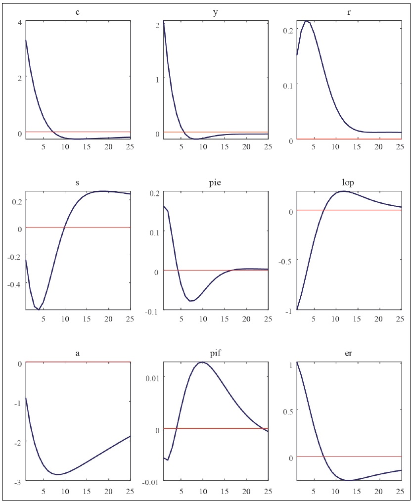 Impulse Response Functions to Preference Shocks