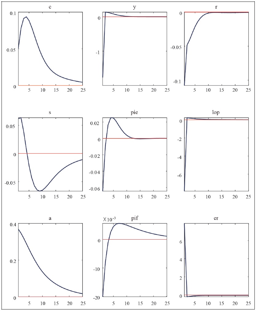 Impulse Response Functions to Risk Premium Shocks