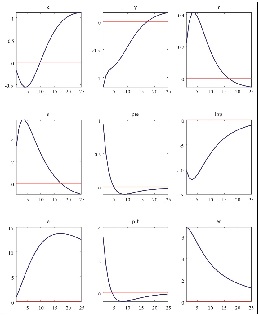Impulse Response Functions to Cost-push Shocks