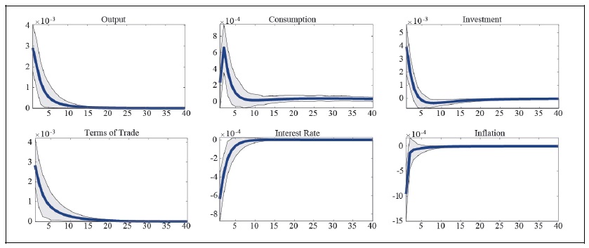 Impulse Response to a Domestic Productivity Shock (After the Asian Financial Crisis)