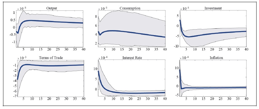 Impulse Response to a Domestic Investment-Specific Productivity Shock (After the Asian Financial Crisis)
