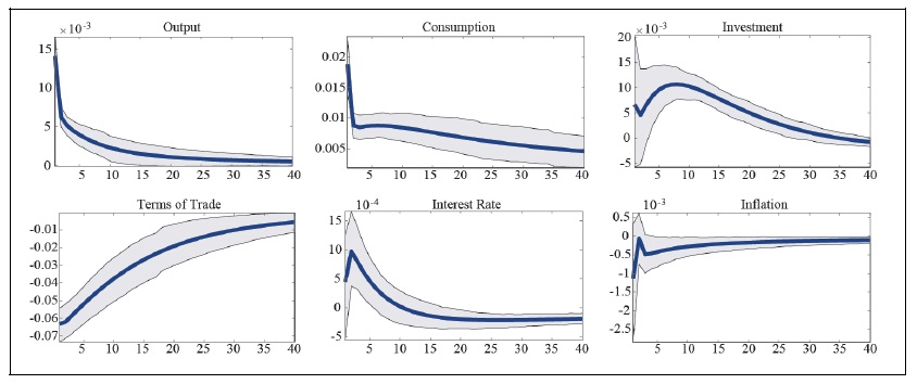 Impulse Response to a Domestic Government Spending Shock (After the Asian Financial Crisis)